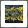 Autumnal Silence Framed Print
