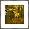 Autumns Fast Approach Framed Print