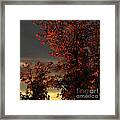 Autumn's First Light Framed Print