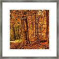 Autumn's Light Framed Print