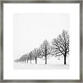 Avenue With Row Of Trees In Winter Framed Print