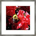 Awakening Framed Print