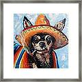 Ay Chihuahua Framed Print