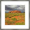 Ayers Rock Uluru-kata Tjuta Natl Park Framed Print