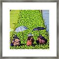 Ayutthaya_farmers Framed Print