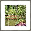 Azalea Reflections Framed Print