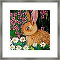 Baby Bunny In The Garden At Night Framed Print