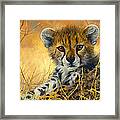 Baby Cheetah Framed Print