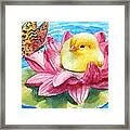 Baby Chick Water Lily Float Framed Print
