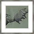 Baby Hippo Framed Print