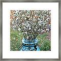 Baby's Breath Bouquet Framed Print