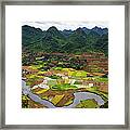 Bac Son Rice Field Framed Print