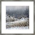 Back Woods Winter Framed Print