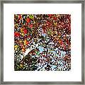 Backwoods Beauty Iv Framed Print