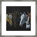 Bad Boys Of Horsefeathers Farm Framed Print