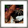 Baguettes And Banon Cheese Framed Print