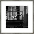 Balcony Bathed In Sunlight Framed Print
