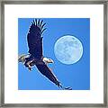 Bald Eagle And Full Moon Framed Print