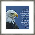 Bald Eagle - Isaiah 40 Framed Print