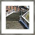 Balogna Steps Framed Print