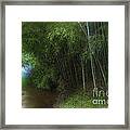 Bamboo Creek Framed Print
