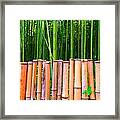 Bamboo Fence Framed Print