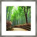 Bamboo Forest Saga Arashiyama Framed Print