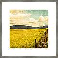 Bandelier Wilderness Framed Print