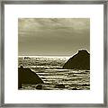 Bandon Seagull Framed Print