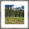 Banff Wildflowers Framed Print