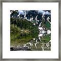 Baranof Lake Framed Print