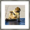 Barbary Ape And Chewing Gum Framed Print