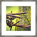 Barbed Wire Framed Print