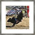 Bareback Bull Riding Framed Print