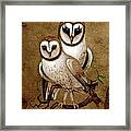 Barn Owls Framed Print