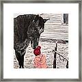 Barnyard Kiss Framed Print