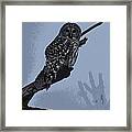 Barred Owl Art Framed Print