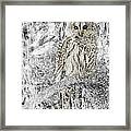 Barred Owl Snowy Day In The Forest Framed Print