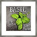 Basil Framed Print