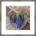 Basket Of Lavender Framed Print