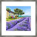 Bastide Framed Print