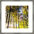 Bathed In Sunrays Framed Print