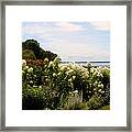 Bay View Bristol Rhode Island Framed Print