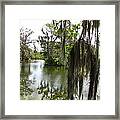 Bayou Framed Print