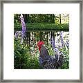 Bb The Rooster And Lupine Framed Print