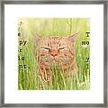 Be Happy For This Moment Framed Print