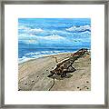 Beach Drift Wood Framed Print