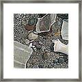 Beach Glass Framed Print