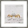 Beach Guard Framed Print