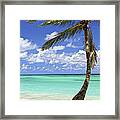 Beach Of A Tropical Island Framed Print